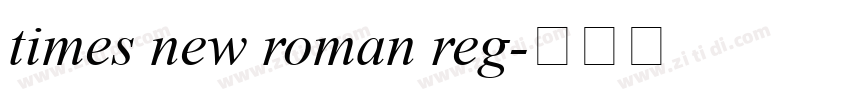 times new roman reg字体转换